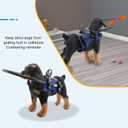 Pet Ring Harness, Adjustable Blind Dog Ring, Dog Vest Harnesses, Blind Dog Bumper to Protect Cats and Dogs with Blindness (M)