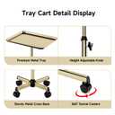 Salon Tray, Premium Metal Rolling Tray Cart, Tattoo Tray Height Adjustable, Dentist Tray Medical Tray Spa Service Rolling Tray,Champagne Gold