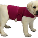 Comfort Dog Anxiety Relief Coat, Dog Anxiety Calming Vest Wrap for Thunderstorm,Travel,4th of July Fireworks,Vet Visits,Separation Anxiety Relief for Dogs (X-Small, Rose)