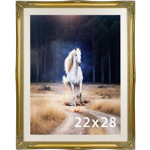Vintage Gold Ornate Baroque Carved Wood Picture Frame with Mat (Gold, 22x28)