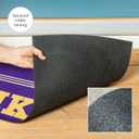 Team Sports America NFL Entrance Doormat | 28 x 16 Inches | Embossed Cross Hatch | Non - Slip Backing | Indoor and Outdoor Home Dcor (Minnesota Vikings)