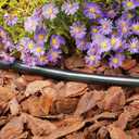 Rain Bird T63-500S Drip Irrigation 1/2" (0.634" OD) Blank Distribution Tubing, 500' Roll, Black