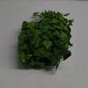 Fake Vines for Room Decor Aesthetic Artificial Plant Ivy Leaves Hanging Greenery Garlands for Home Bedroom Wall Wedding Party Decor (168FT 24PCS Vines)