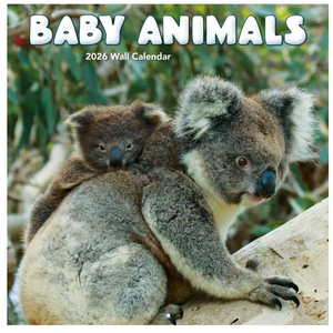 Turner Licensing, Baby Animals Photo 2026 Wall Calendar
