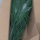 Jexine 100 Pcs Easter Palm Leaves for Palm Sunday Artificial Fake Branches Tree Stems Large Faux Greenery Plants Fronds for Church Holy Week Hawaiian Jungle Wedding Party Decoration (18.9 x 7)