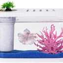 2.2 Gallon Fish Tank Kits,Small Aquarium Starter Kit,Nano Desktop Tank with Quiet Filter, Lid,Color-Changing Light&Decor for Betta Shrimp Guppy Jellyfish Goldfish Beta(12.6 * 7 * 5.6 Inch)