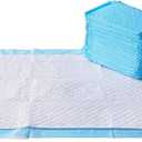 Basics LeakProof Dog and Puppy Potty Training Pee Pads with QuickDry 5Layer Super Absorbent Design, Regular Size 22 x 22 inch, Blue & White, 100 Count