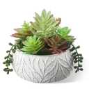 yel canby 6 Inch Artificial Succulent Plant in White Ceramic Pot - Realistic Fake Succulent for Home Office Desk Bathroom Decor Coffee Table Decor