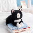 Weighted Stuffed Animal Cat, 19 Inch 2Lbs Realistic Plush Toy, Ultra Soft Black Cat Throw Pillow for Kids and Adults