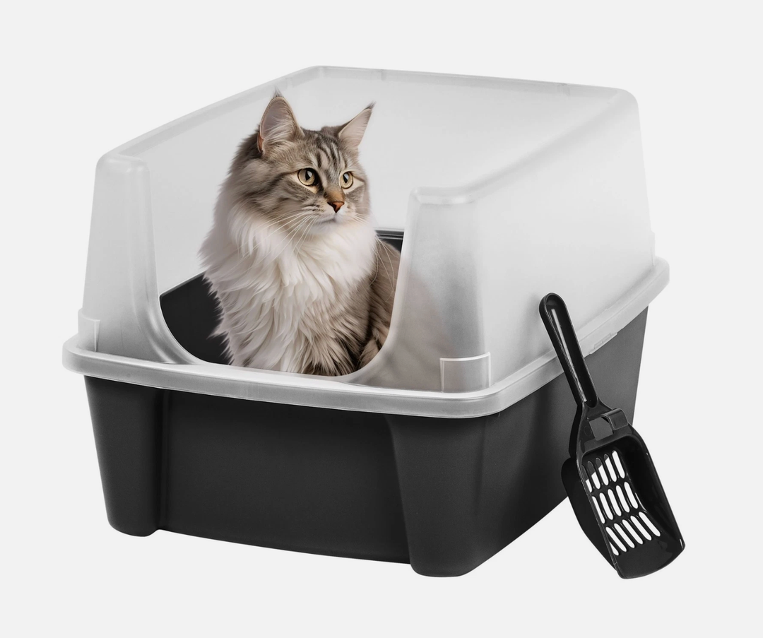 IRIS USA Large High Sided Cat Litter Box 2 Packs