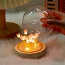 Tulip Night Light Lamp  16 LED Flowers in Glass Dome with Wooden Base, Decorative Desk Lamp, Gift for Women, Batteries and Gift Bag Included