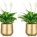 Nuptio 2 Pcs Plant Pot Gold Vase Metal Flower Pot Vase with Drainage Hole, Modern Storage Organizer Decorative Gifts for Wedding Indoor Outdoor Living Room Balcony Decoration Floor Display (5.7in Tall-2pcs, Style 1#)