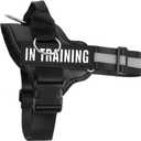 Essential Dog Harness with 3 Leash Clips - No-Pull, Adjustable, Comfortable Pet Vest Harness for Small to Large Dogs - Easy On, No Choke, Reflective, Padded Harness for Walking and Training (S(Neck:14-18",Chest:16-21"), Black)