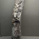 Brown Rugs for Living Room 8x10 Area Rug Soft Living Room Carpet-Rugs for Bedroom Machine Washable Rug Vintage Oriental Floral Dining Room Rug Non Slip