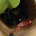 10FT Solar Umbrella 32 LED Lighted Patio Umbrella Table Market Umbrella w/Tilt and Crank, UV-Resistant Outdoor Umbrella for Pool, Garden, Deck, Apple Green