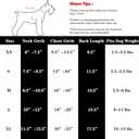 2 Pack Solid Color Dog Shirts - Lightweight, Quick Dry, Breathable Pet T-Shirts for Small to Large Dogs - Stretchy, Durable, Ideal for All Seasons and Holidays.Orange Red L