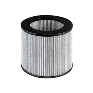 Bissell Replacement High Efficiency and Carbon Filter for The MyAir Personal Air Purifier, 2801