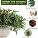 24 Pcs 18 Inch Real Touch Norfolk Pine Branches Christmas Greenery Stems with Pinecones & Red Berries for Christmas Decorations
