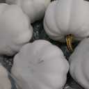 Nuanchu 12 Sets Baby Shower Favors DIY Pumpkin Painting Kit for Baby Shower Game 12 Foam Craft Pumpkins, 12 Pink Bows 12 Pink Pacifiers 28 Pairs of Eyelash Sticker for Birthday Table Decor