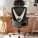 HOLLUDLE Ergonomic Mesh Office Chair - 3D Adjustable Lumbar Support & 3D Armrests, V-Shaped Back, Adjustable Desk Chair for Office & Home, Black