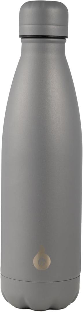 BJPKPK Insulated Water Bottle 17oz Stainless Steel Water Bottles,Gray