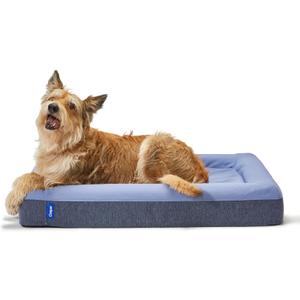 Casper Dog Bed, Plush Memory Foam, Medium, Blue