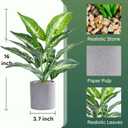 Der Rose JC nateva 16" Small Fake Plants Artificial Tropical Faux Plants Indoor for Office Desk Shelf Bathroom Home Decor