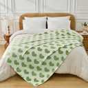 FY FIBER HOUSE Heart Flannel Queen Blanket Soft Cozy Blankets for Lover Gifts All Season Use, 90x90 Inches, Sage Green