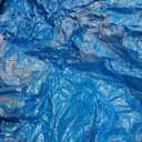 Blue Tarp