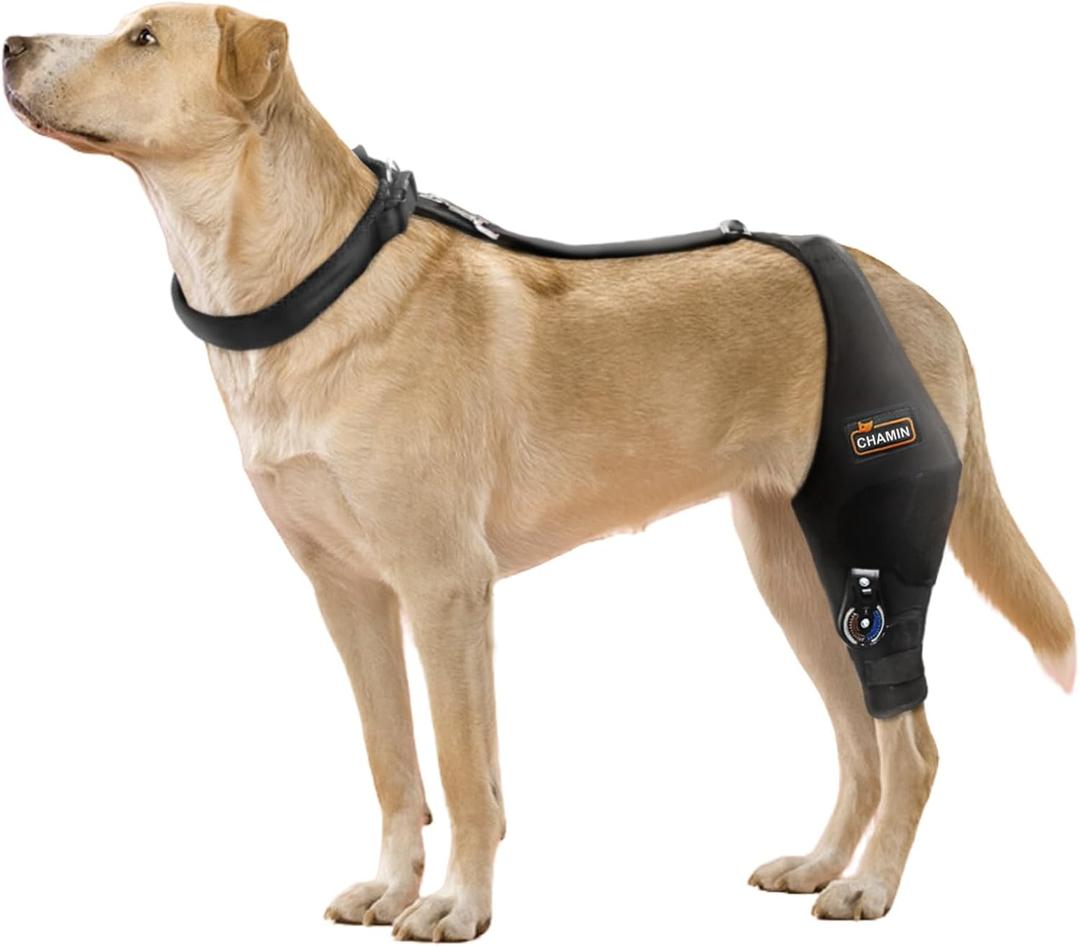 CHAMIN Adjustable Dog Knee Brace for Torn ACL Hind Leg, Support for Tear Ligament, Osteoarthritis, Rear Leg Limp, Recovery After Surgery, et(Left Leg, XL)