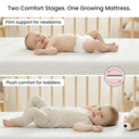 Dream On Me 2-in-1 Baby Zzz Crib & Toddler Mattress, GREENGUARD Gold