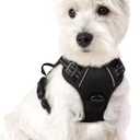 Small Dog Harness No-Pull, Adjustable, Breathable Mesh for Beagle, Border Collie, Aussie Shepherd & Similar Breeds (S)
