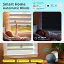 Motorized Zebra Blinds with Remote, Smart Dual Layer Automatic Shades with Privacy Light Control, Cordless Electric Blackout Blind for Indoor Windows, Grey, 38" W x 72" H