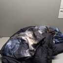 3pcs Wolf Printed Bedding Set for Boys & Girls - Comforter & 2 Pillowcases, All Seasons Duvet (Full)