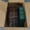 Kingsyard Squirrel Proof Platform Bird Feeders for Outdoor Hanging, 10" Wide Metal Caged Bird Feeder for Small Wildbirds Finches, Recycled Plastic Feeding Platform with Metal Seed Tray, Green