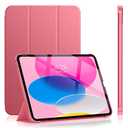 Soke Case for iPad 11th Generation (A16) 11-inch 2025 & 10th Gen 10.9-inch 2022 - [ Auto Wake/Sleep + Slim Trifold Stand], Protective Hard PC Back Cover for Apple iPad 11/10 - Watermelon