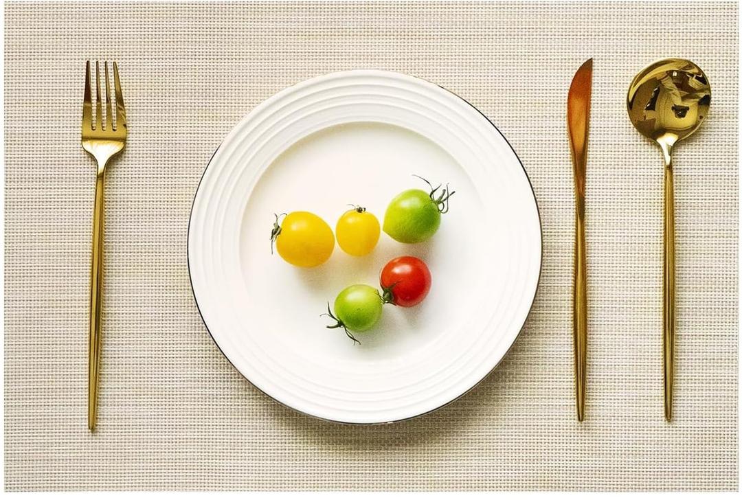 Placemats Set of 6 Vinyl/Plastic Woven Place Mats for Kitchen Table Indoor/Outdoor Washable Placemat Wipeable Dining Table Mats (Beige,6)