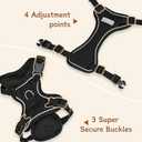 Small Dog Harness and Leash Set, Reflective Soft Breathable Mesh Vest, 3 Buckles, Adjustable Neck and Chest,Step in Dog Harness for Walking, Running, Training, Black, XS