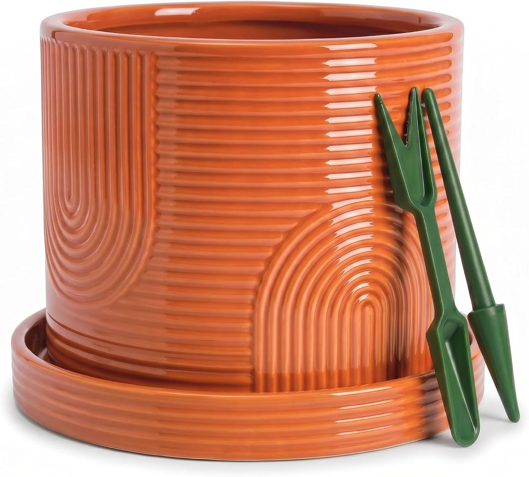 ÈMJÉ LUXE 6 Inch Ceramic Plant Pot with Drainage Hole & Tray – Terracotta