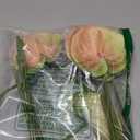 7pcs Artificial Anthurium Lily Flowers Fake Plastic Tropical Flowers for Vase Bouquets Home Office Wedding Decor(Green Pink)