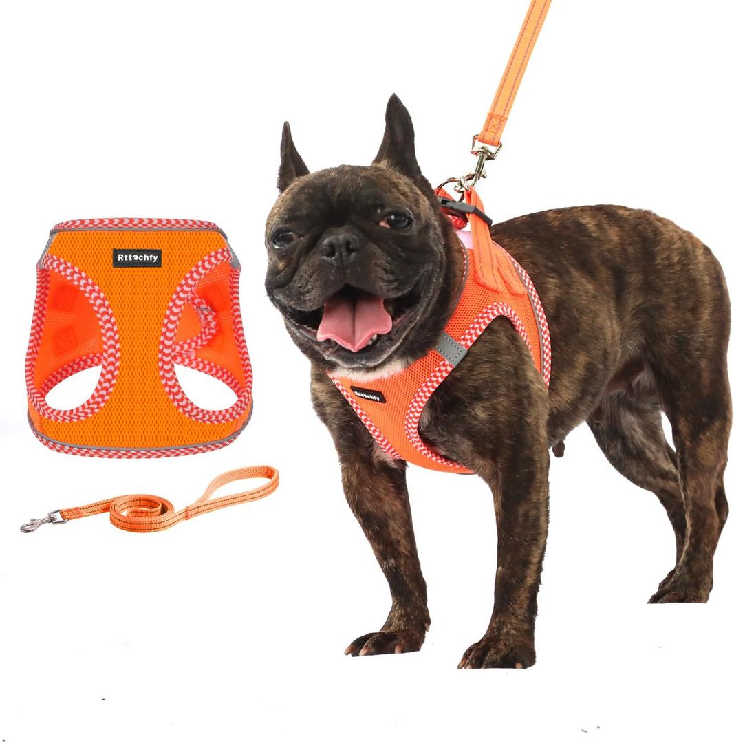 Rttochfy Small Dog Harness, Soft and Reflective Puppy Harness, Dog Harness and Leash Set for Small Size Dogs Training, Walking (Orange M) (M (Chest:15.5"-17.5"))