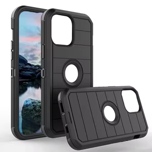 Case iPhone 12 Pro Max/6.7