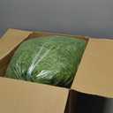 Giegxin Spanish Moss Faux Greenery for Potted Plants, Crafts, and Floral Arrangements Moss Artificial Plants Potted Artificial for Halloween Indoor Outdoor 4.4 lb Bulk Case (Grass Green)