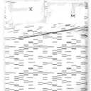 Jay Franco Sheet Set with Fitted, Flat Sheets & Pillow Cover - Ultra-Soft Bedding with Pillowcase for Room Decor, White - Star Wars, 4 Piece King