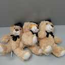 3 Graduation Bear, Brown