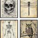 Locomiss Vintage Cottagecore Wall Art Decor, Whimsical Cottage Core Gothic Vintage Woodland Wall Decor Posters Print For Room Home Bedroom Bathroom, Set of 4 (8x10 Unframed)