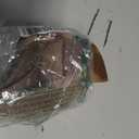 Back Tanning Applicator Tanning Cream Lotion Mousse Oil Application Gloves