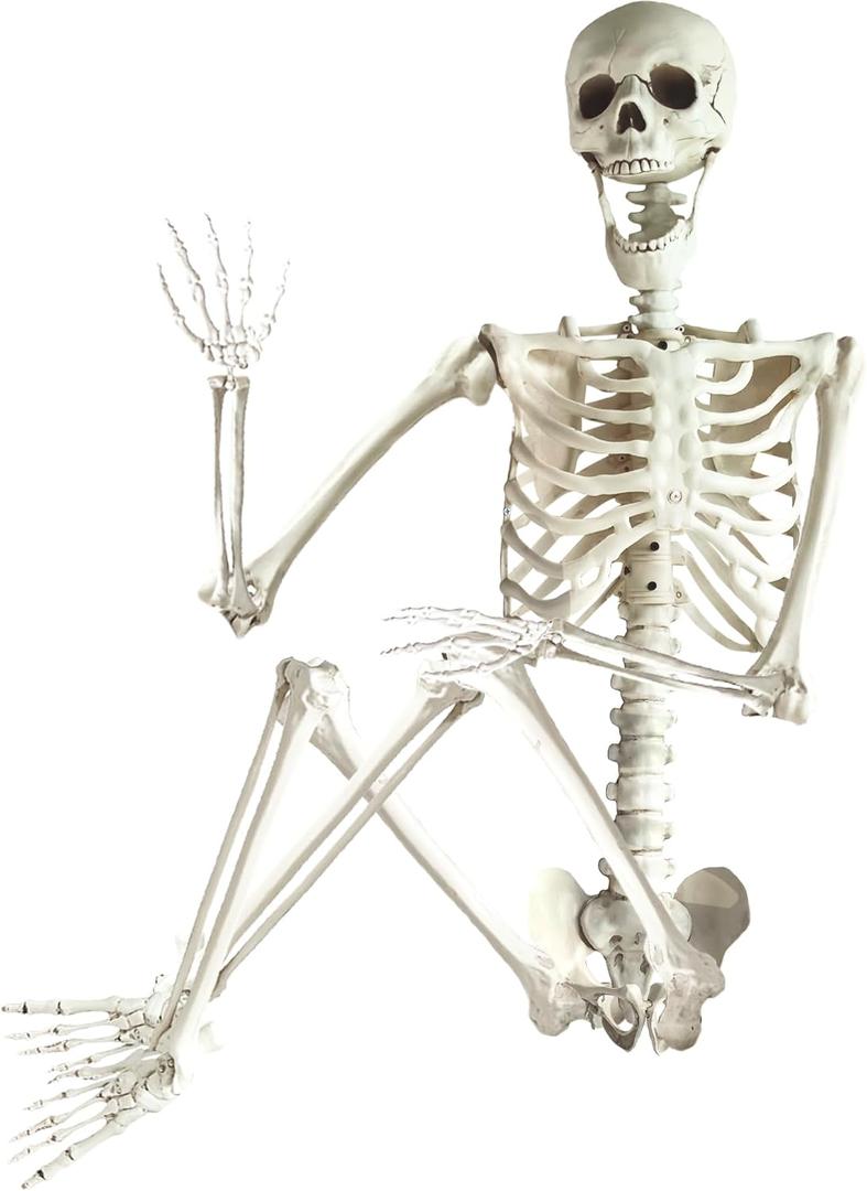 ArtCreativity 6ft Halloween Skeleton Decor, Posable Skeleton Life Size, Plastic Skeletons for Halloween Decorations Indoor and Outdoor - Full Size Skeletons for Haunted House Props