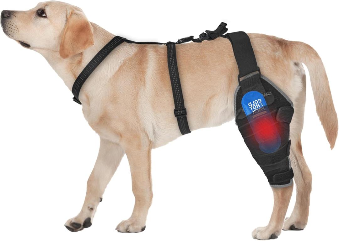 Moysoon Dog Knee Brace for Back Leg - Adjustable Breathable Canine Leg Wrap with Hot & Cold Gel Packs - Supports Large & Medium Dogs with Arthritis, Hip Dysplasia, ACL Injuries, Left Hind Leg (L)