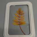holiday home 11.8 inch yellow leaf wall decor